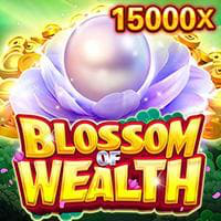 Blossom Wealth